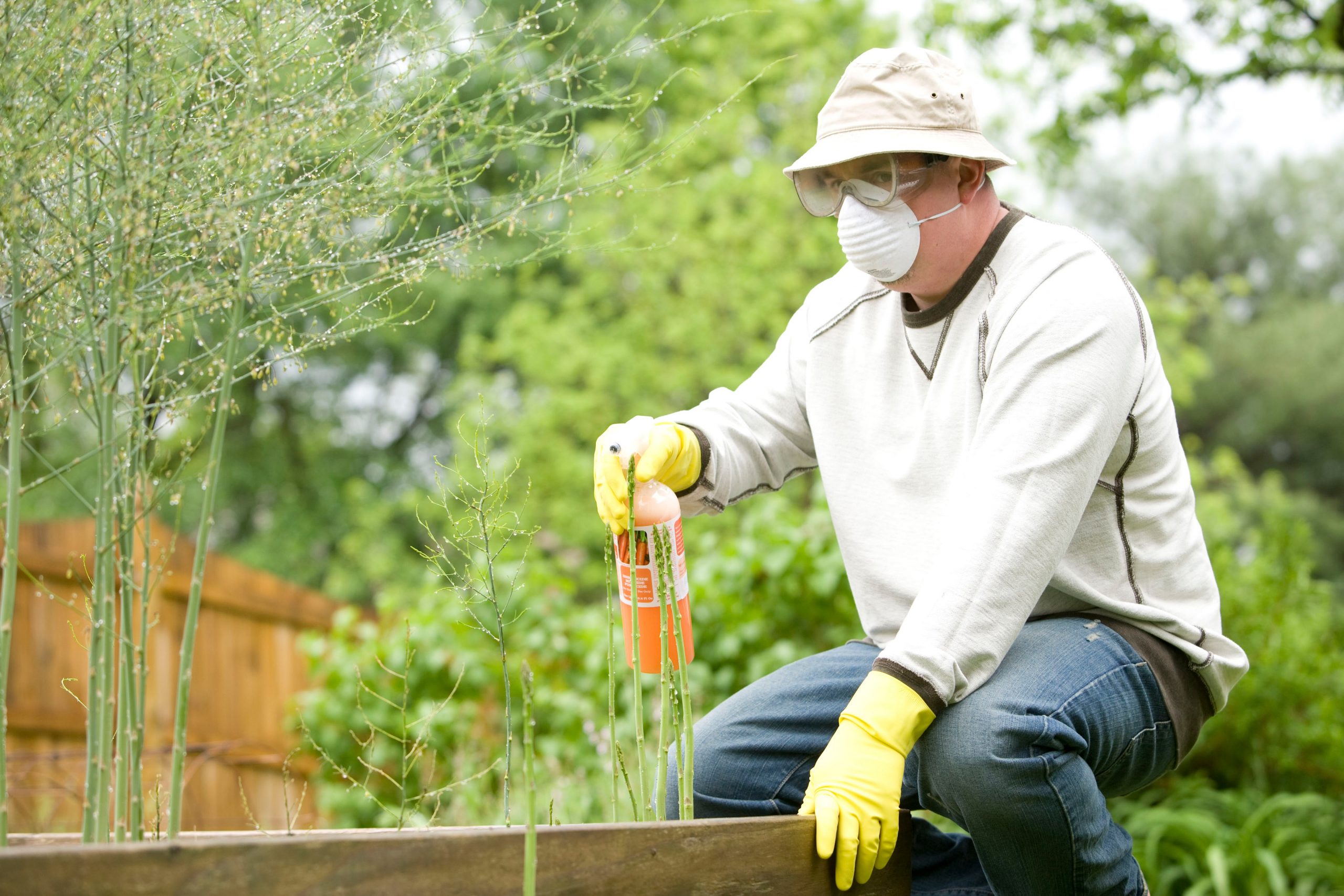man spraying bug repellent on plants